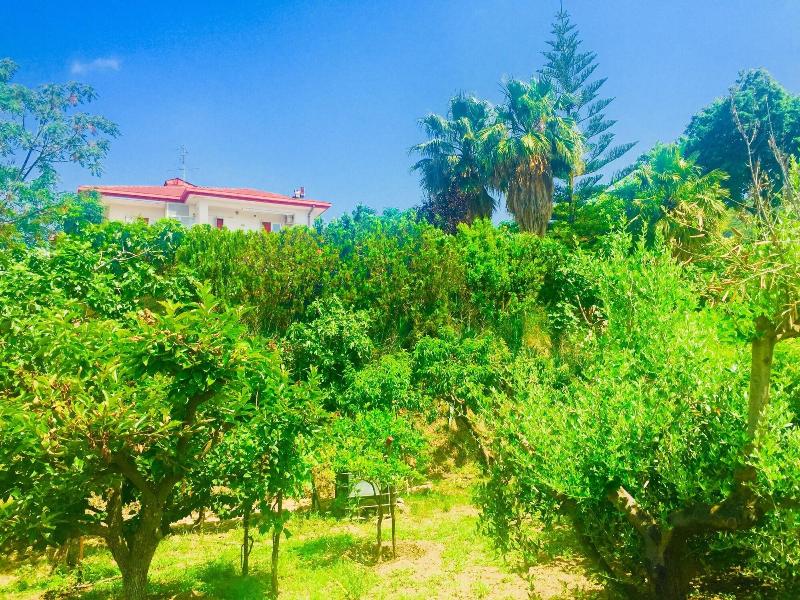 B&B Montebianco — photo 2