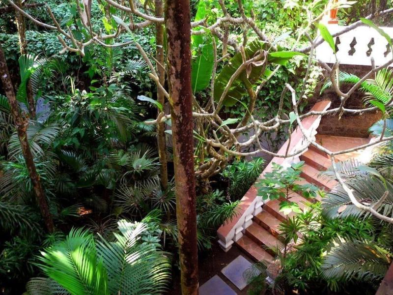 Marbella Guest House image