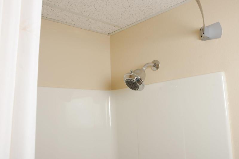Dutch Inn And Suites image