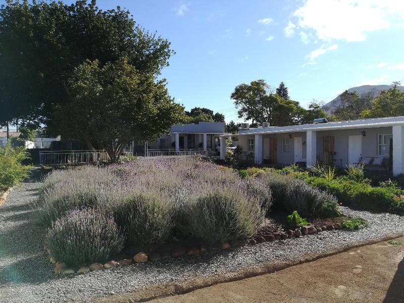 Rietjiesbos B&B image