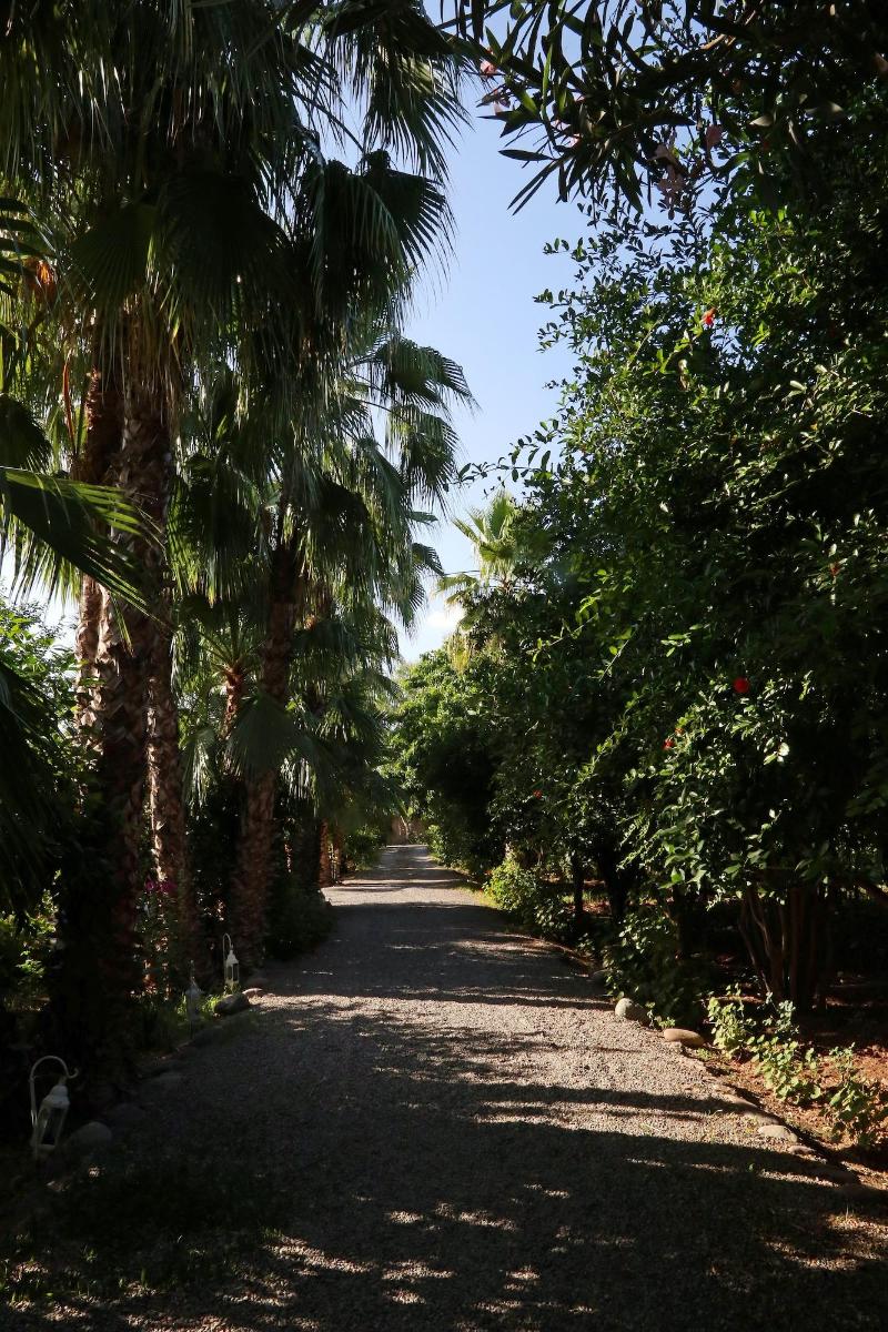 Le Bled Ferme image