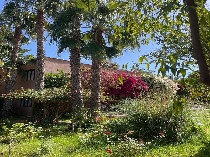 Le Bled Ferme image