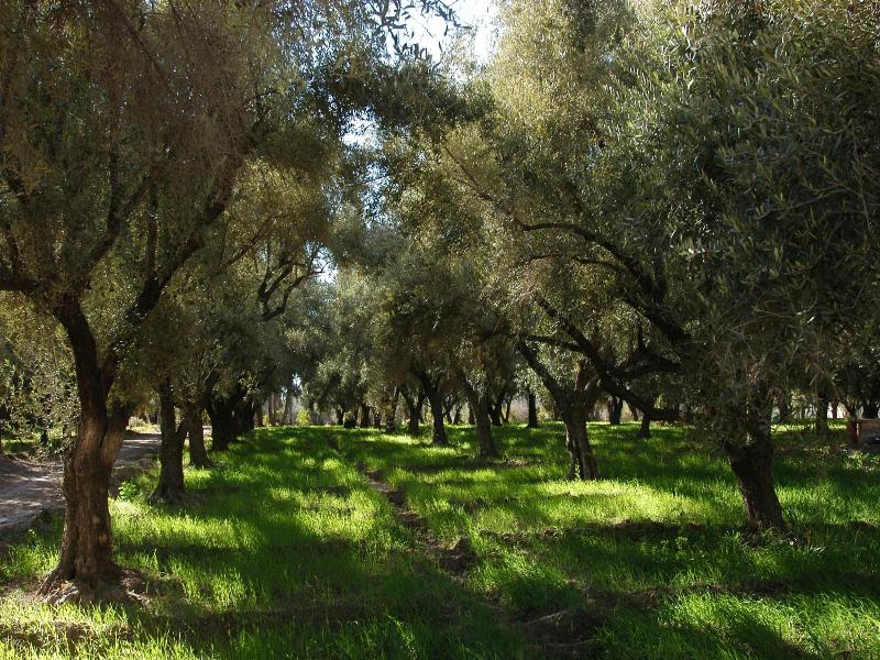 Le Bled Ferme image