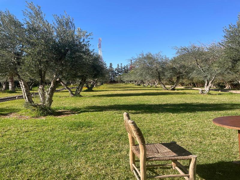 Le Bled Ferme image