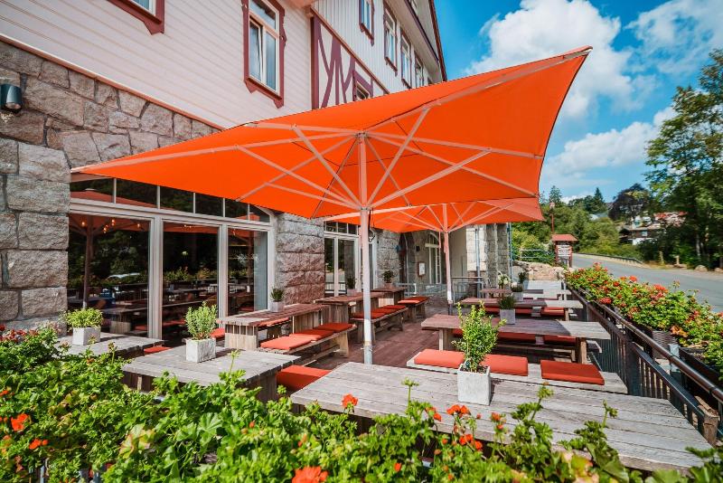 Hotel Villa Bodeblick image