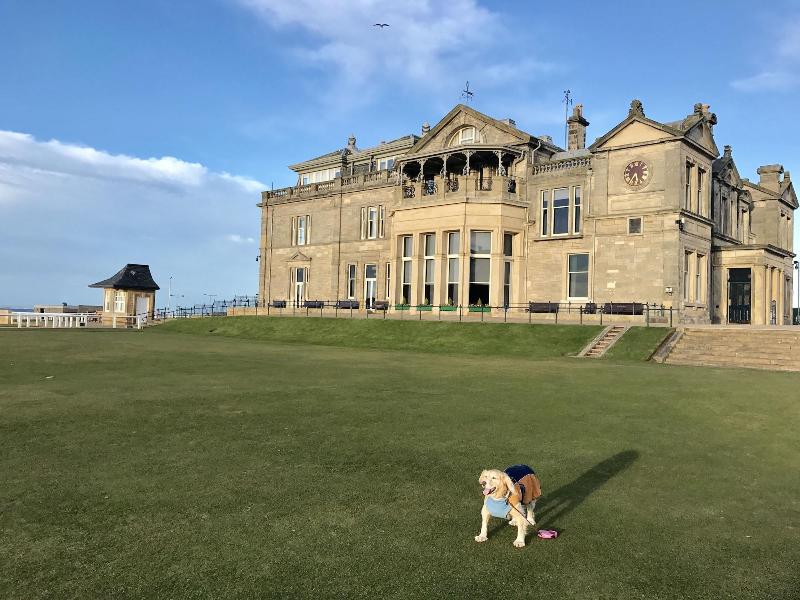 No12 Bed And Breakfast image