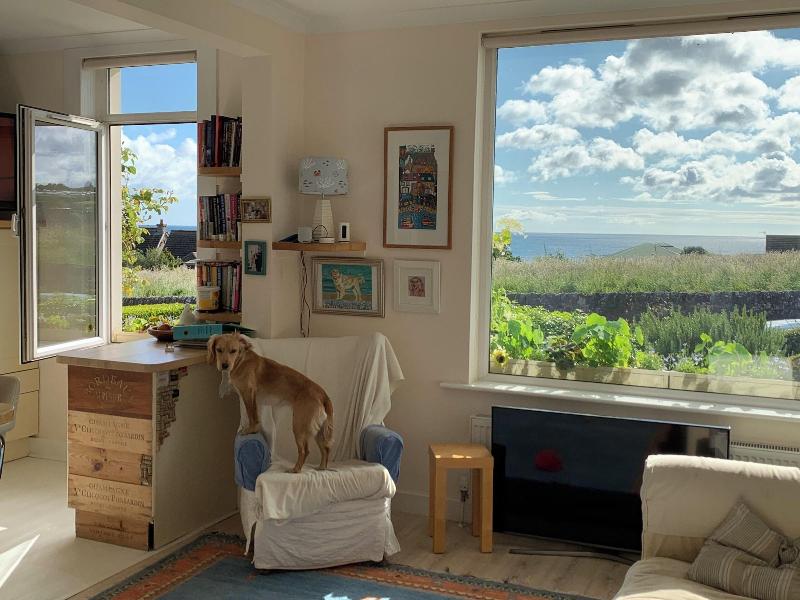 No12 Bed And Breakfast image