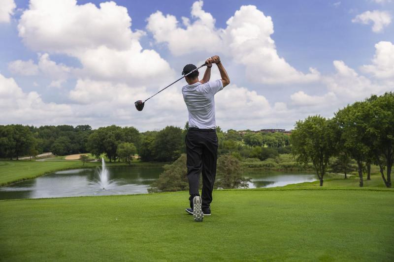 Grand Geneva Resort & Spa image