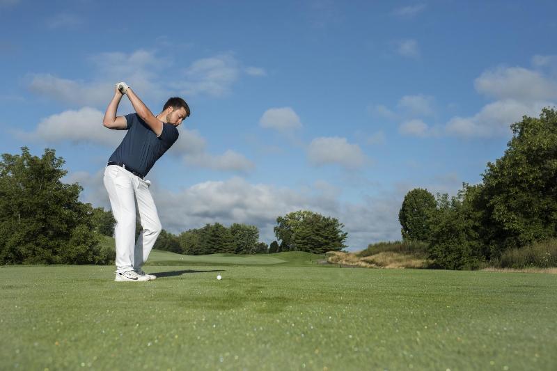 Grand Geneva Resort & Spa image