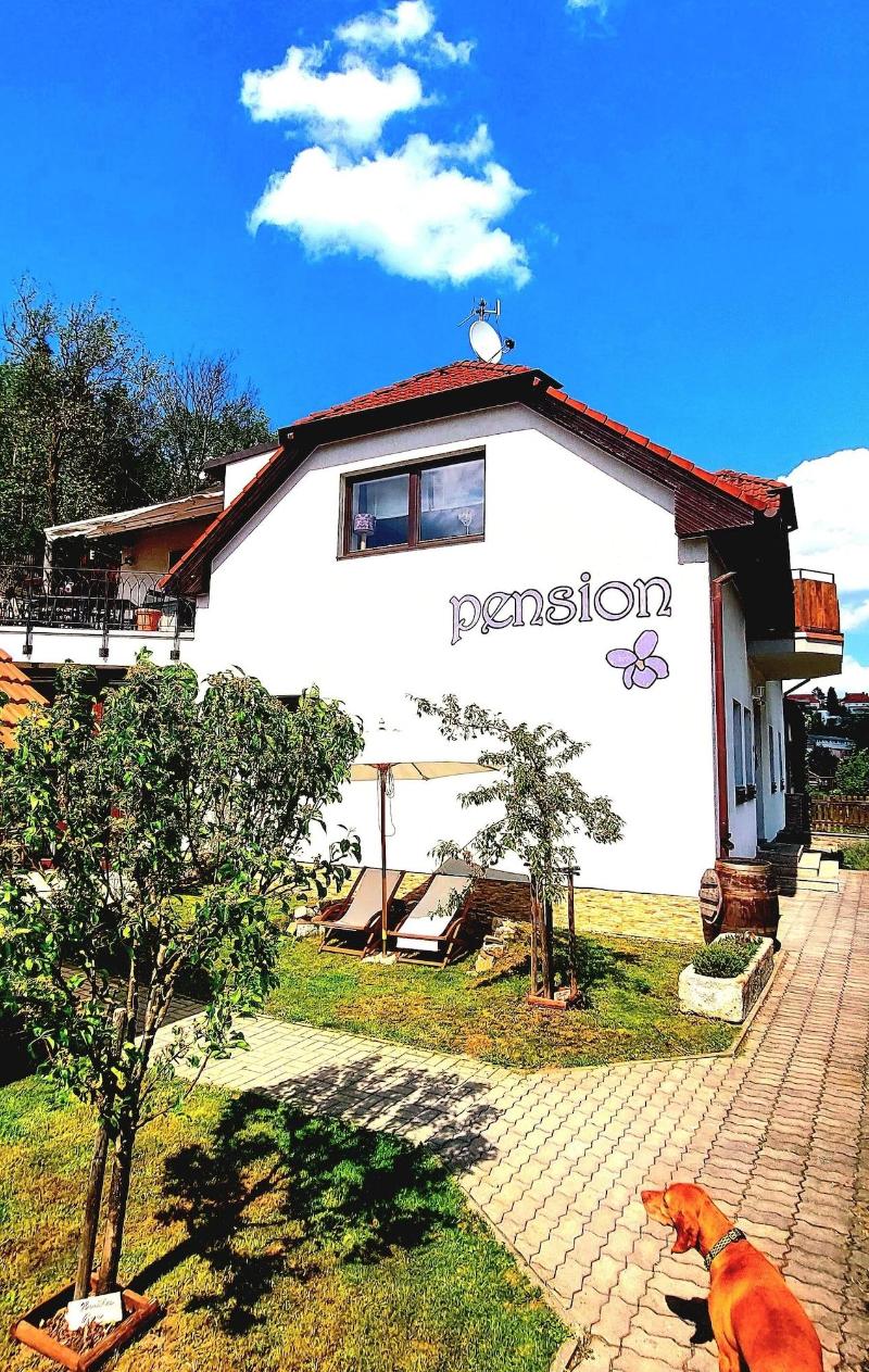 Pension Fialka image