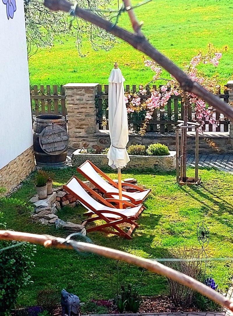 Pension Fialka image