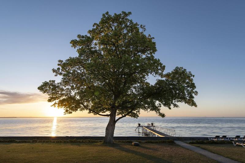 Kurhotel Skodsborg image