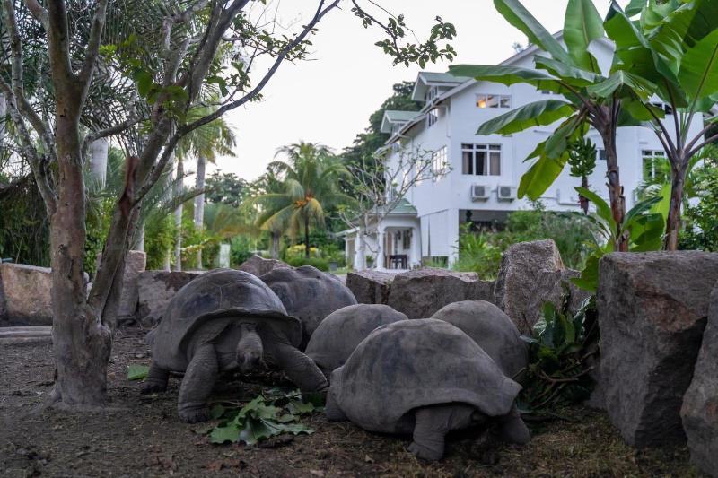 La Modestie Villa image