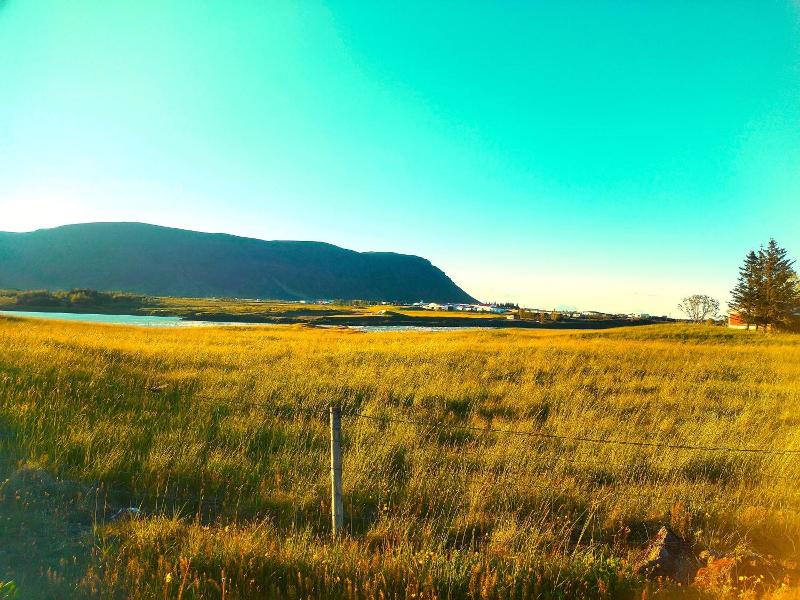 Selfoss Hi Hostel image