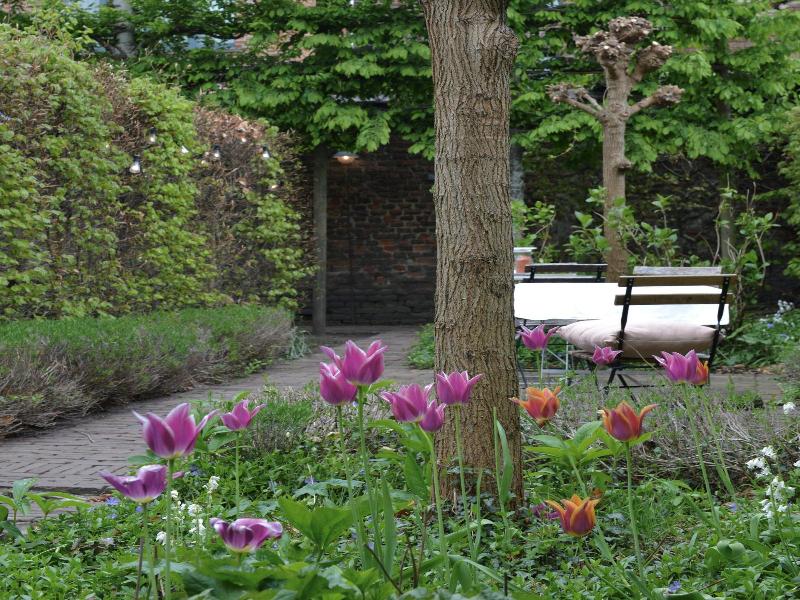 Hotel Hemelhuys image