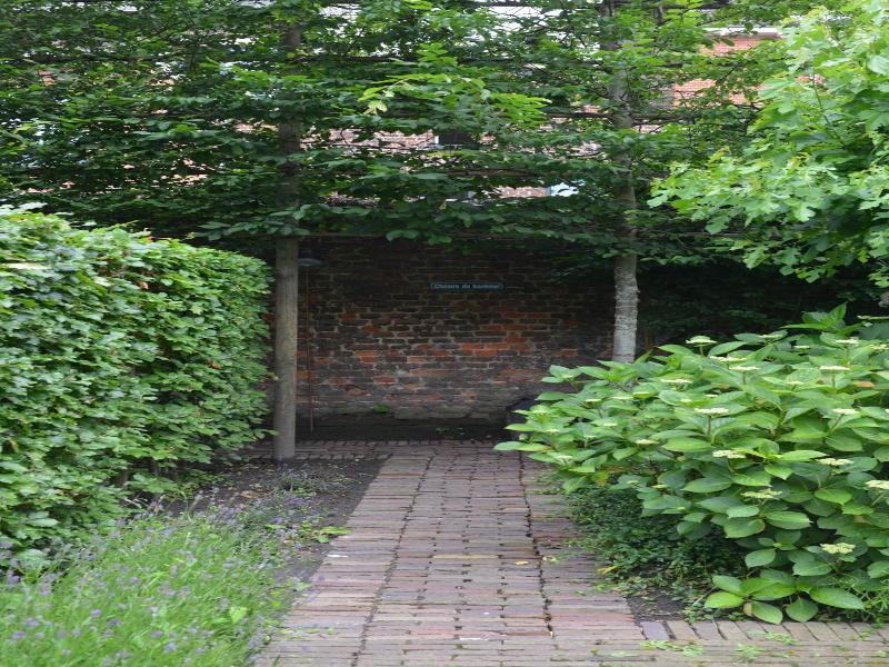 Hotel Hemelhuys image