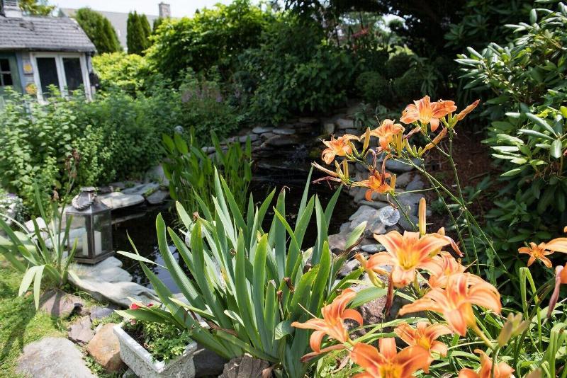 Gardenview Bed And Breakfast image
