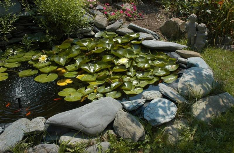 Gardenview Bed And Breakfast image