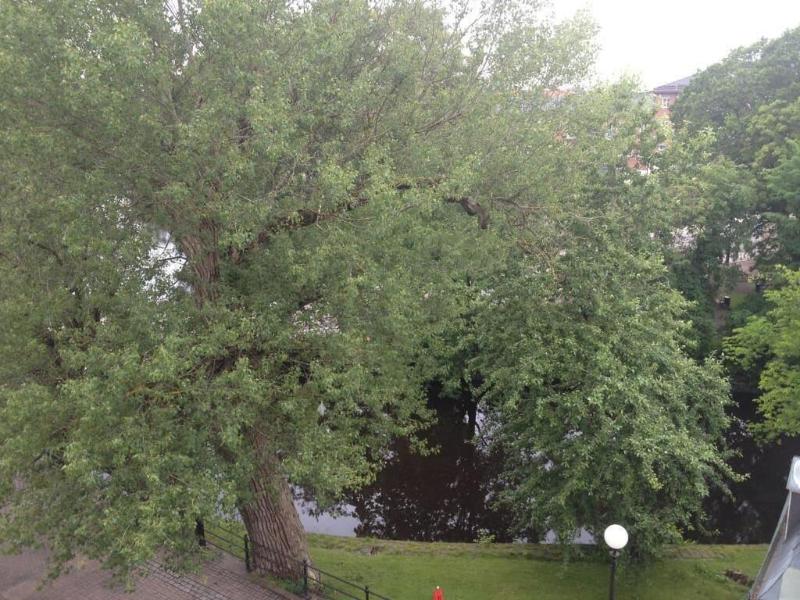 Statt Kristinehamn image