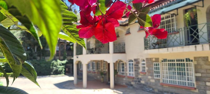 Margarita House image