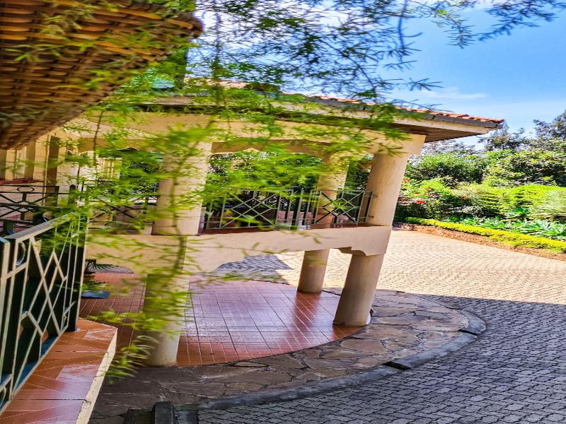 Margarita House image