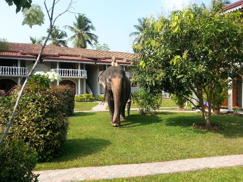 Hotel Bougainvilla image