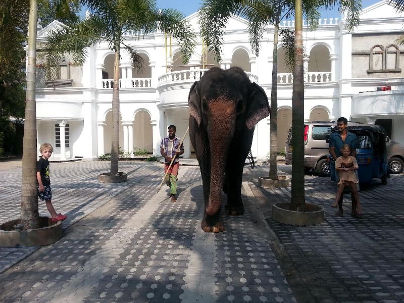 Hotel Bougainvilla image