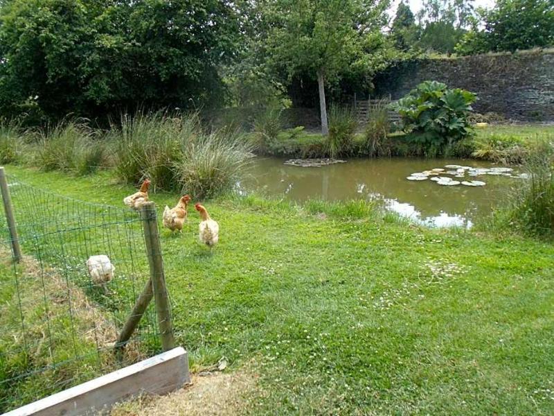 Le Tertre image