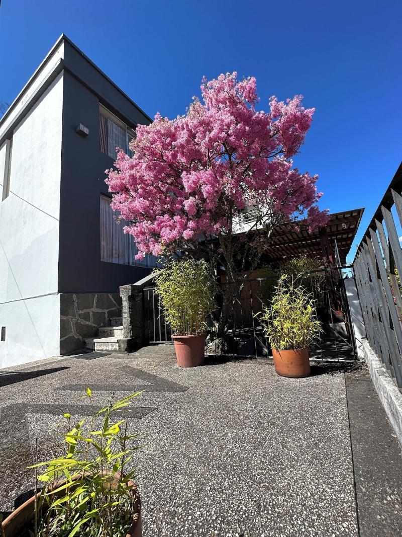 St. Gallen Haus image