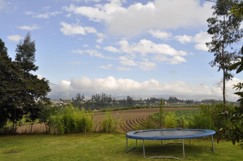 Hostal Colibrí Aeropuerto - Hostel image