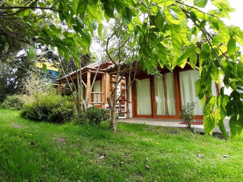 Hostal Colibrí Aeropuerto - Hostel image