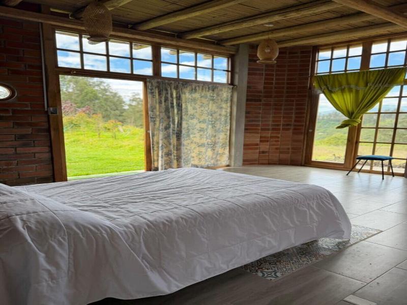 Hostal Colibrí Aeropuerto - Hostel image