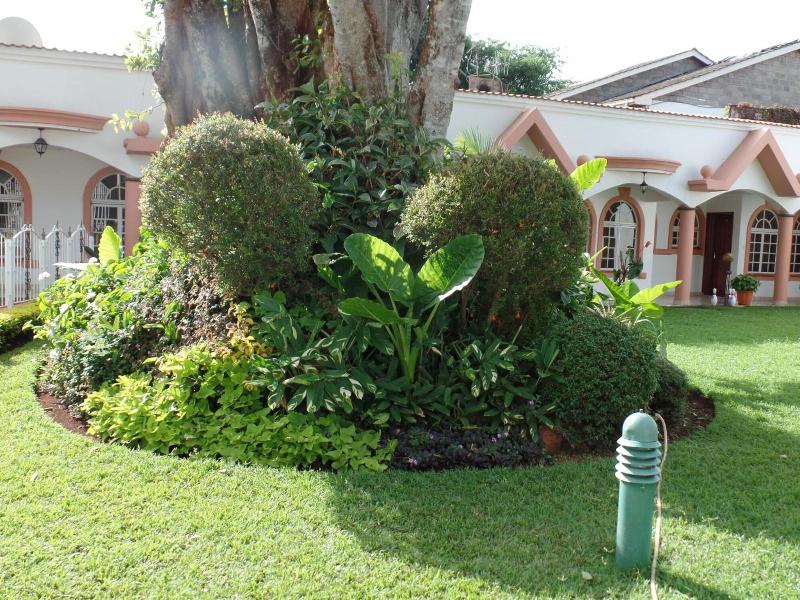 Villa Leone image