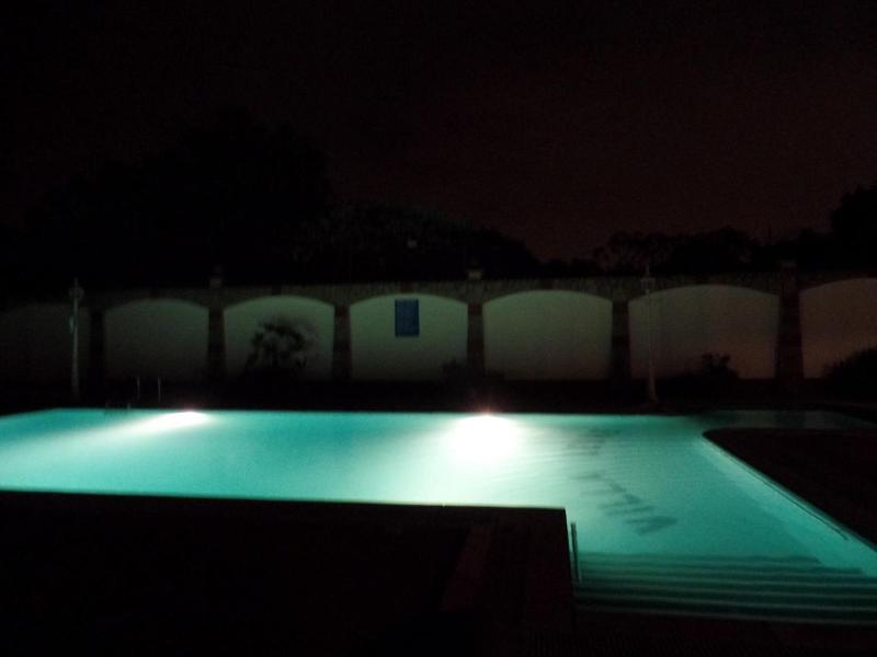 Villa Leone image