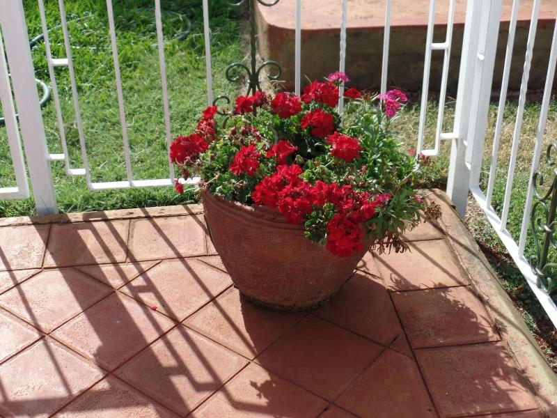 Villa Leone image