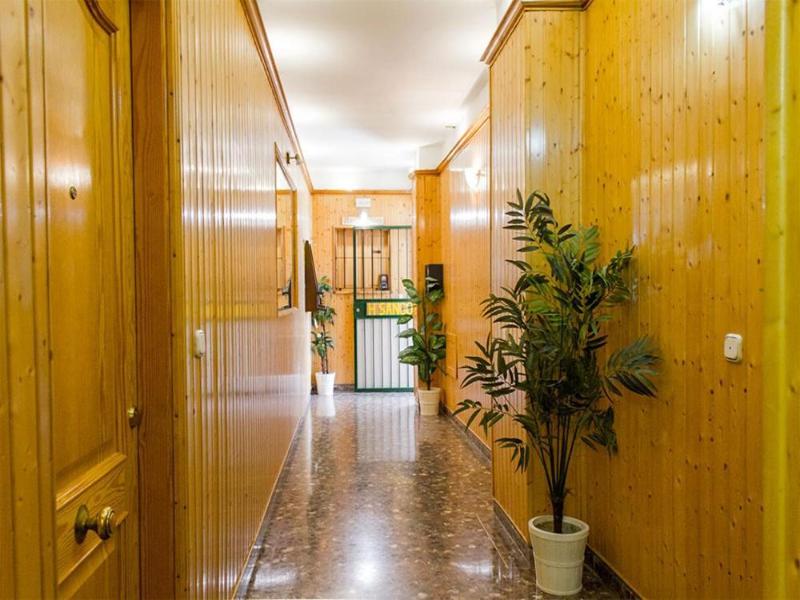 Hostal Sango image