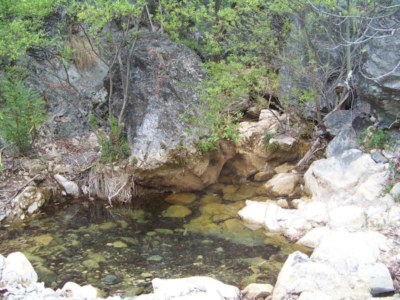 Hostal Sango image