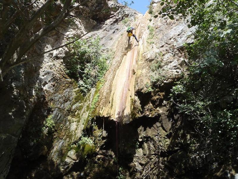 Hostal Sango image