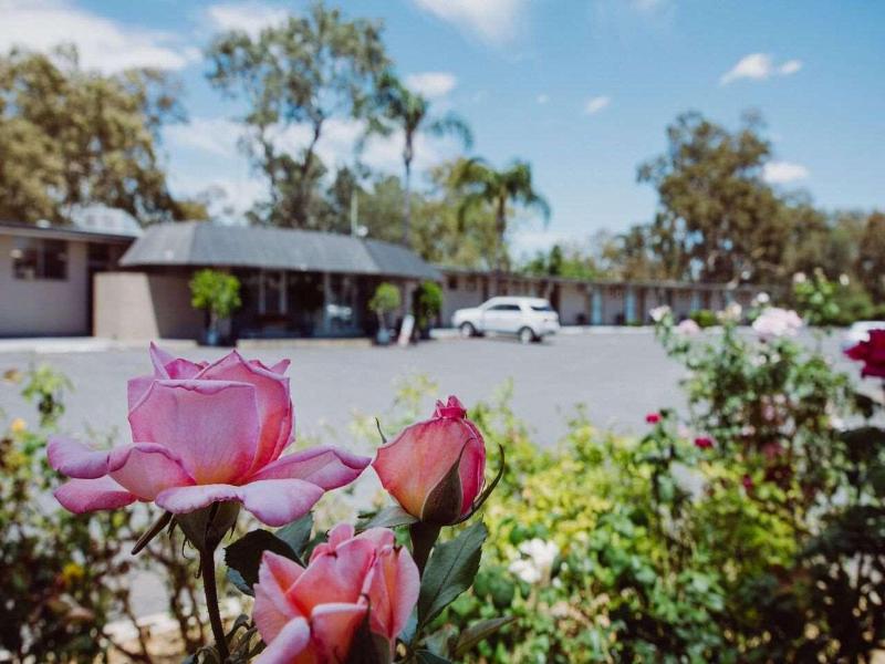 Artesian Spa Motel image