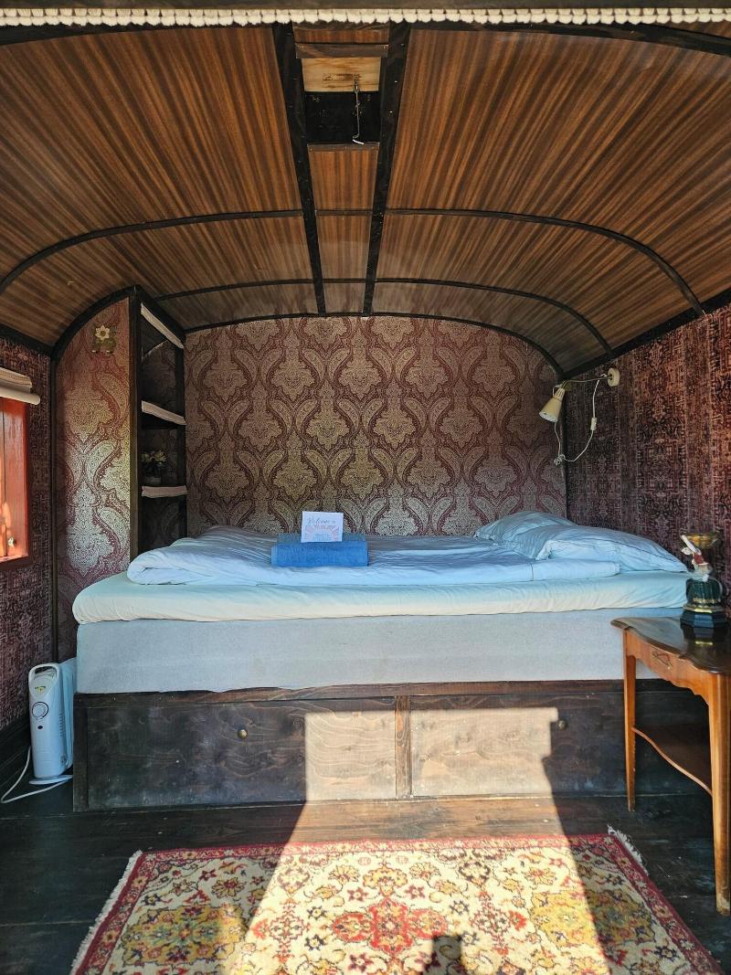 Grand Circus Hotel image