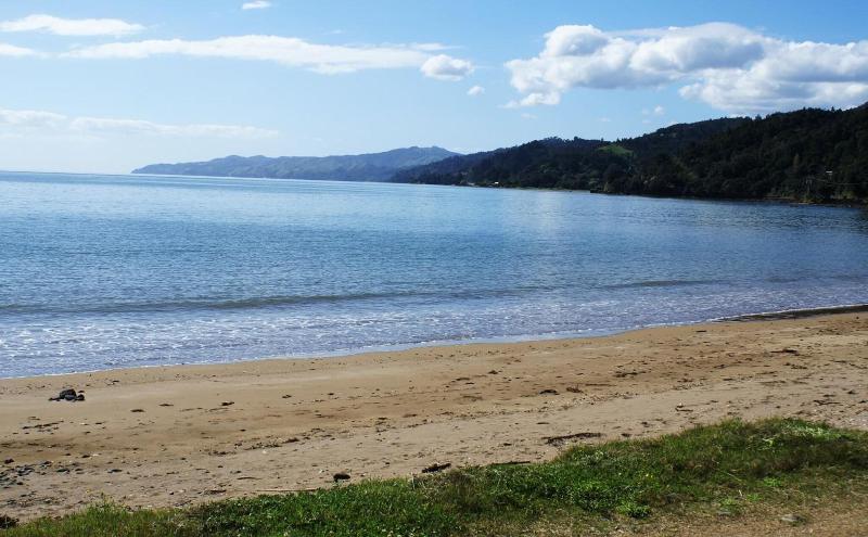 Te Puru Beach Lodge image