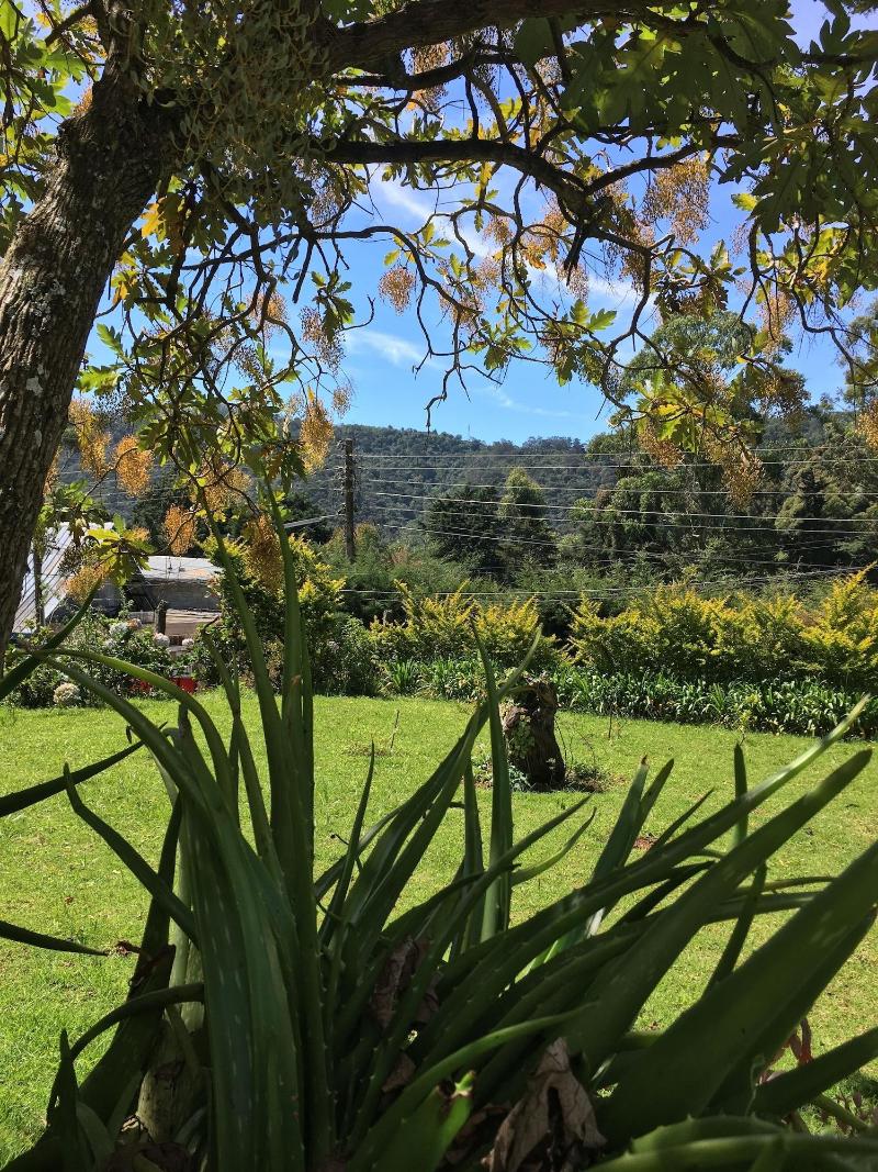Andrews Hostel image