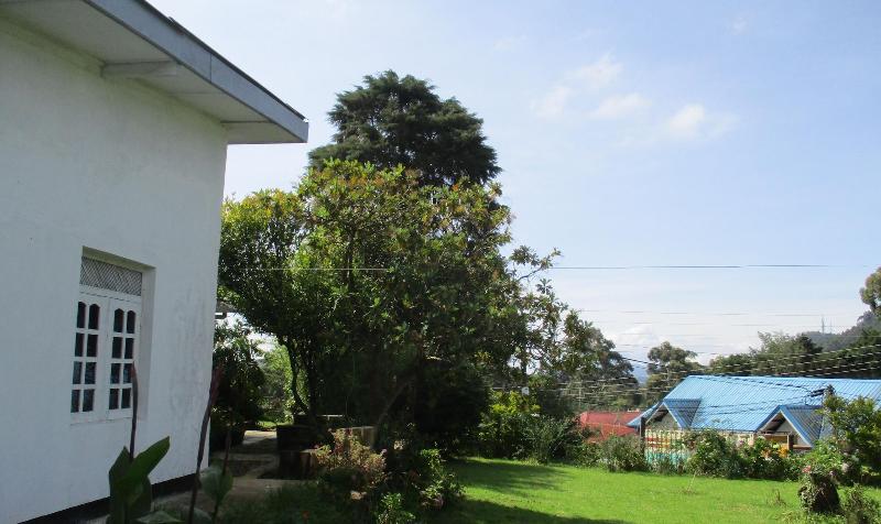Andrews Hostel image