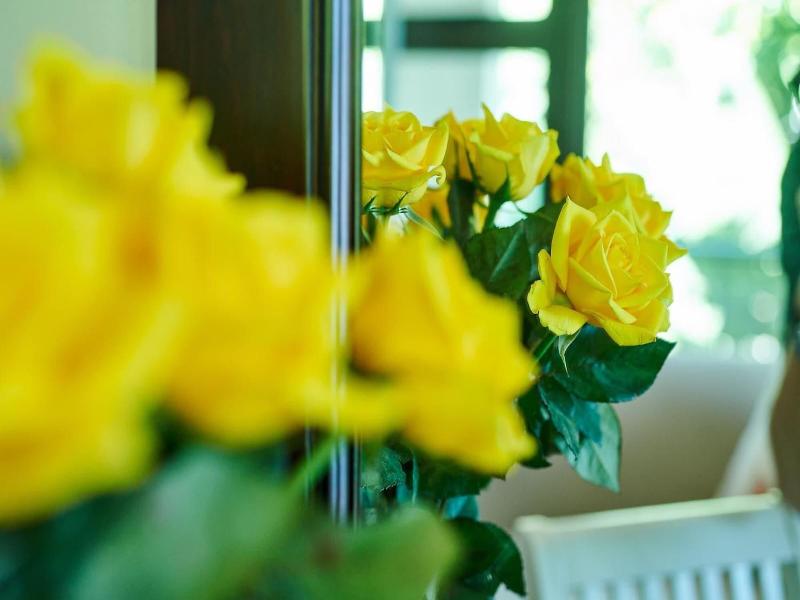 The Hamptons Guest House image