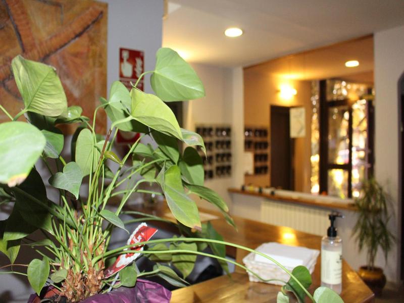 Hotel Seva image