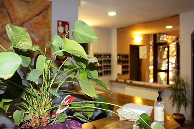 Hotel Seva image