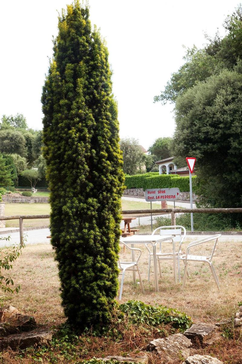 Hotel Seva image