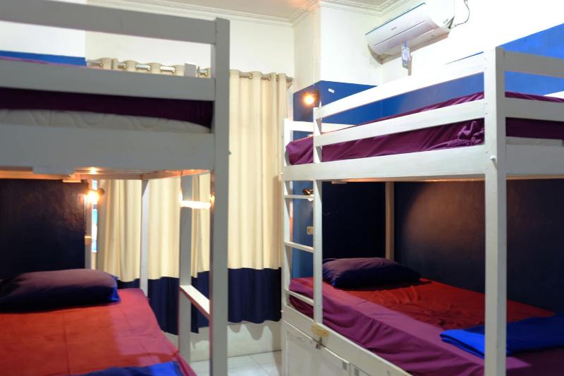 Bunk Bed And Breakfast image