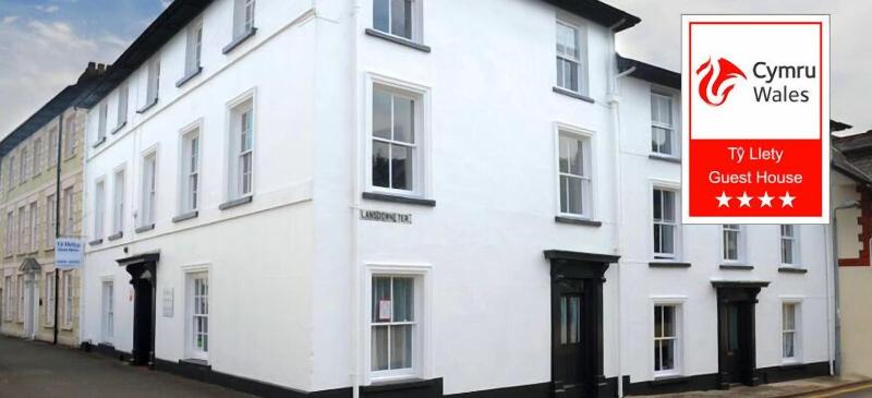 Ty Helyg Guest House image