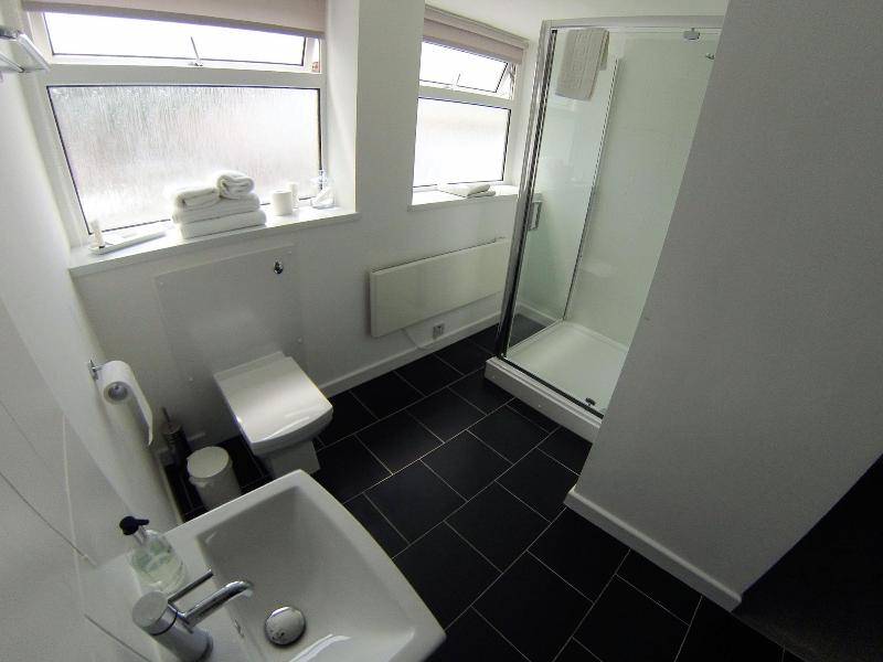 Ty Helyg Guest House image